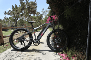 Predator Sand and Dirt Electric Mountain Bike - WiseUV.com